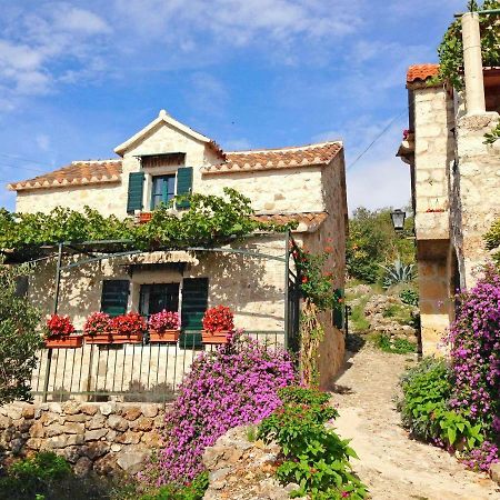Villa House Dobrila Igrane Esterno foto