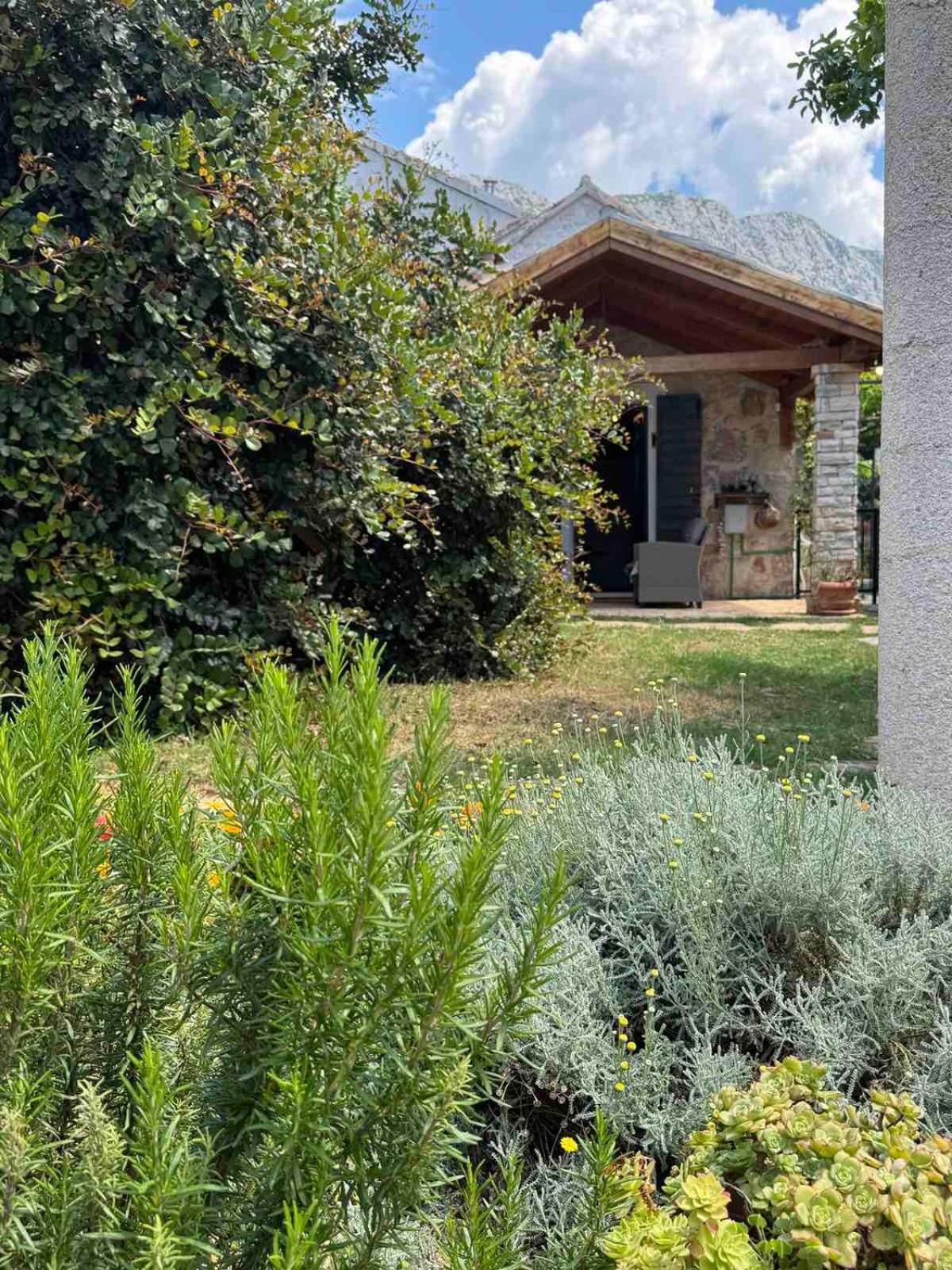 Villa House Dobrila Igrane Esterno foto