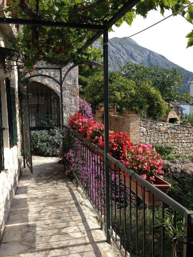 Villa House Dobrila Igrane Esterno foto